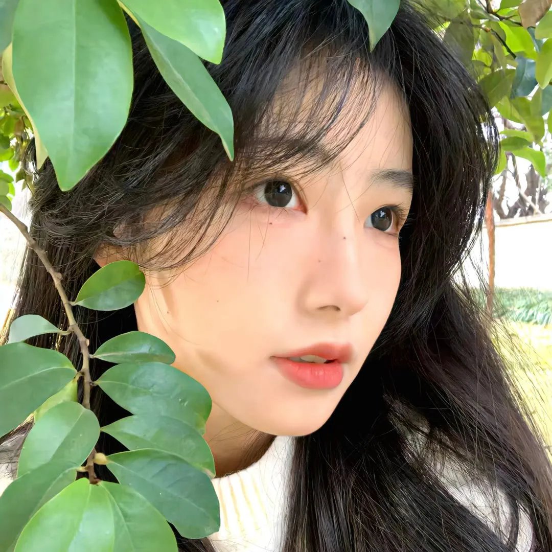 航越地平线